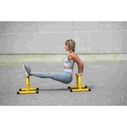 Lebert Equalizer -Fitness Equipment Sale 107 8174 1