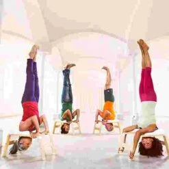 Feetup "Classic" Trainer -Fitness Equipment Sale 259 6802 3