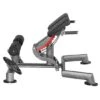 Sport-Thieme "OV" Back Extension Bench