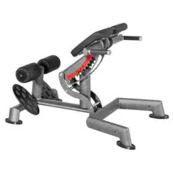 Sport-Thieme "OV" Back Extension Bench -Fitness Equipment Sale 307 8903