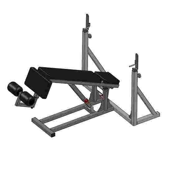 Sport-Thieme "SQ" Decline Bench