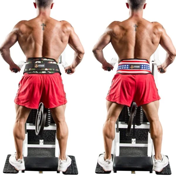 DMoose Premium Dip Belt 2 DMoose Premium Dip Belt - Image 2