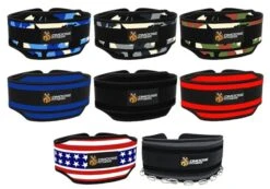 DMoose Premium Dip Belt 11 DMoose Premium Dip Belt -Fitness Equipment Sale e3251075554389fe91d17a794861d47b 5d0a751b4cd9c 600x420 1